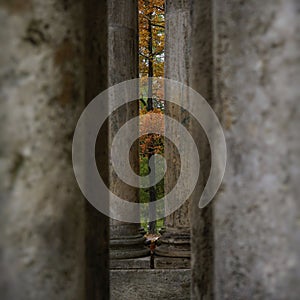 columns architecture old detail autumn stones tree ginger color nature leaves park