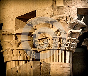 Columns capitals at Kom-Ombo (Egypt)