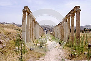 Columns of the Cardo Maximus in the ancient roman city of Gerasa
