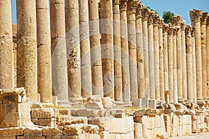 Columns of the Cardo Maximus in the ancient roman city of Gerasa modern Jerash in Jordan.