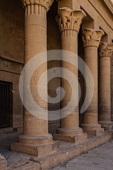 Columns decorated with relief carvings in the forecourt of the Temple of Isis, Philae, Aswan, Egypt