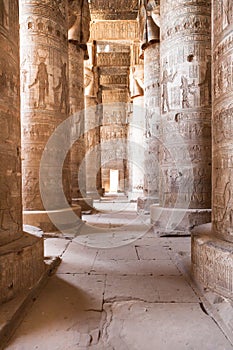 Columns in dendera temple photo