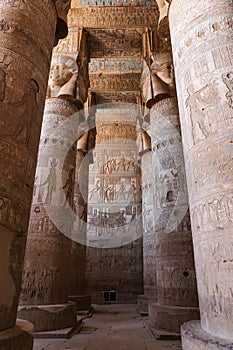 Columns in Denderah Temple, Qena, Egypt