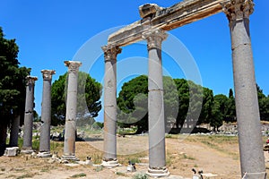 Columns at Ephesus, Turkey