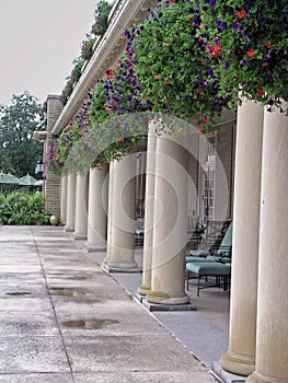 Columns and flowers