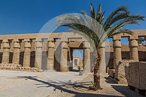 Columns of the Great Court in the Amun Temple enclosure in Karnak, Egy