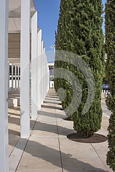 Columns and green trees on a narrow street