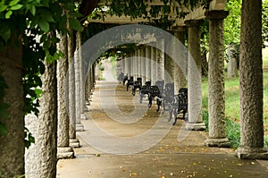 Colonna da Italiano uscire sul giardino 