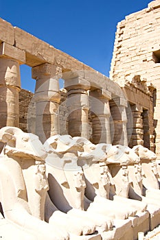 Columns at Karnak Temple, Luxor, Egypt