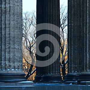 Columns of the Kazan Cathedral in winter Saint-Petersburg, Russia