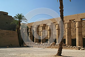 Columns at Luxor Temple, Egypt