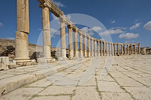 Columns of the Oval Plaza in Jerash, Jordan photo