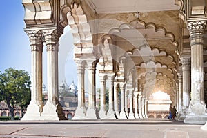 Columns in palace - Agra Red fort India