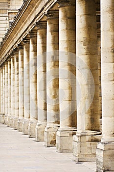 Columns Palais Royal