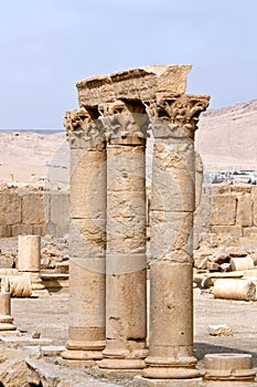 Columns Palmyra Syria