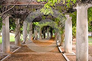 Columns in the Park