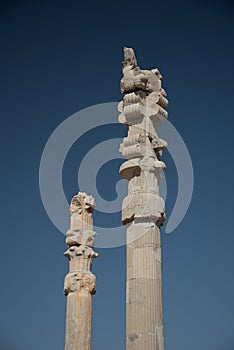 Columns in Persepolis