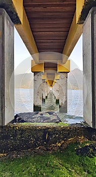 Columns in perspective under pier in Sao Sebastiao - Brazil