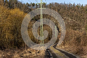 Columns of power lines along a path through the Sazava River valley