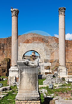 Columns and ruins of Basilica Aemilia in the Roman forum