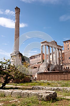 Columns Ruins at foro romano - Roma - Italy