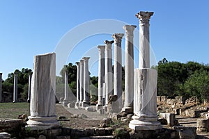 Columns in Salamis