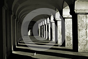 Columns and shadows