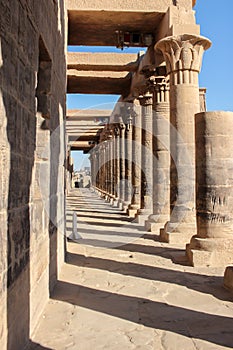 Columns symmetry