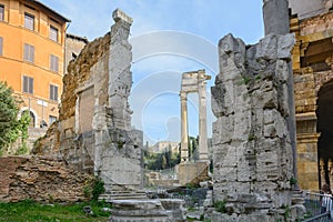 The columns of the Temple of Apollo near the Theater of Marcellus. Sosiev Apollo. Apollo Sosianus Rome. Italy