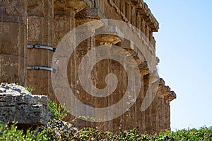 Columns of Temple E at Selinus in Sicily, also known as the Temple of Hera. Italy.