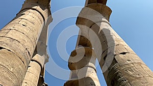 Columns in the temple of Luxor, Egypt.