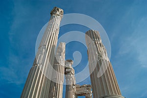 Columns of the Temple of Trajan