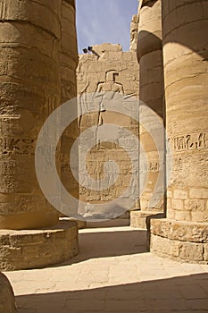 Columns of the Temples of Karnak ( Egypt)