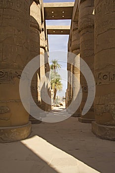 Columns of the Temples of Karnak ( Egypt)