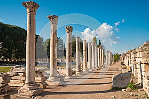 Columns of the Tetragonos Agora. The commercial market square in Ephesus Ancient City. Izmir, Turkey