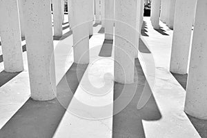 Columns and their shadows, black and white