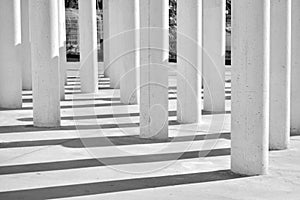 Columns and their shadows, black and white