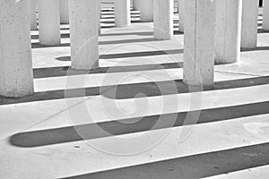 Columns and their shadows, black and white