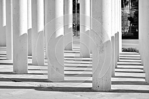 Columns and their shadows, black and white