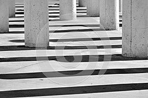 Columns and their shadows, black and white photo