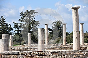 Columns of Various Sizes, Sanctuary of Apollo