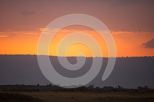 Colurs of Mara during sunset, Masai Mara, kenya