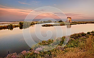 Comacchio, Ferrara, Emilia Romagna, Italy: sunset landscape of the swamp in the Po Delta Park