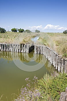 The Comacchio valleys in Italy