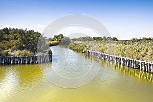 The Comacchio valleys (Italy)