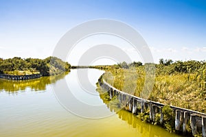 The Comacchio valleys (Italy)