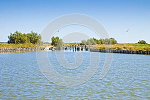 The Comacchio valleys are known worldwide for eel fishing - UNESCO protected area Ferrara city - Emilia Romagna - Italy