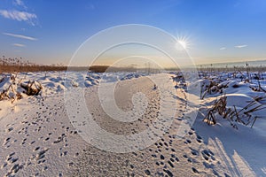 Comana lake in winter