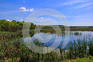 Comana National Park - Romania