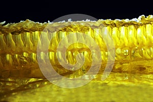 Comb honey glows on a black background